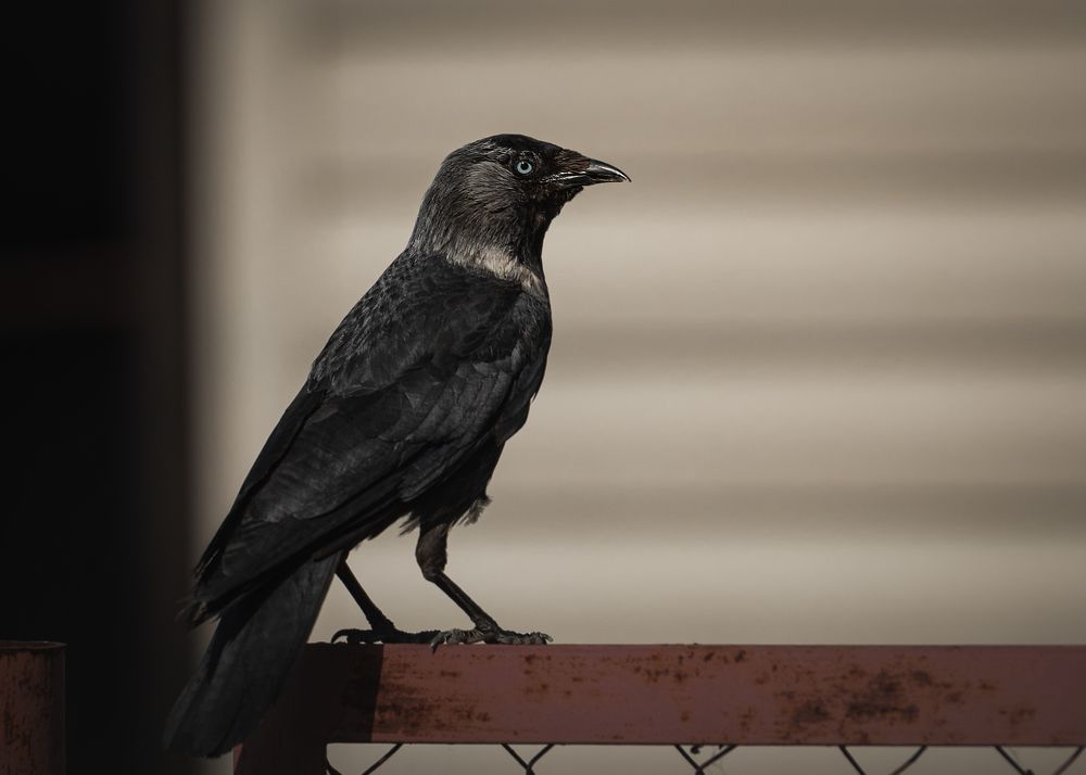 Photograph by Victor Stepanov