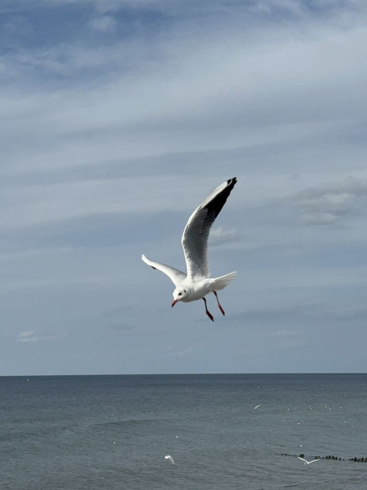 Photograph by Екатерина Мирошникова