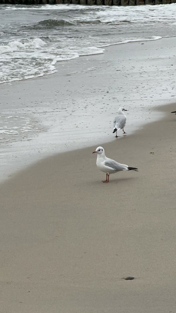 Photograph by Екатерина Мирошникова
