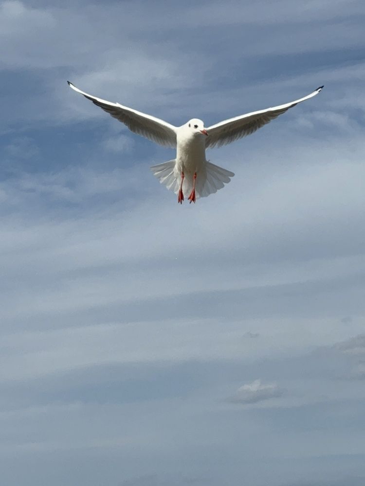 Photograph by Екатерина Мирошникова