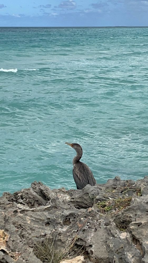 Photograph by Екатерина Мирошникова