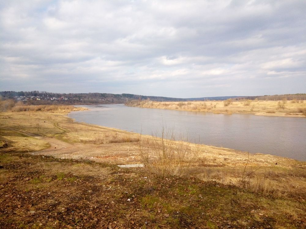 Photo #11169560