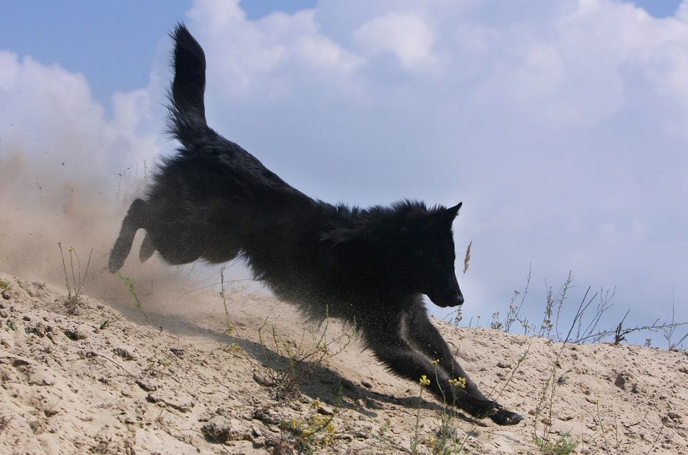 Фотография автора Надежда Лисицына