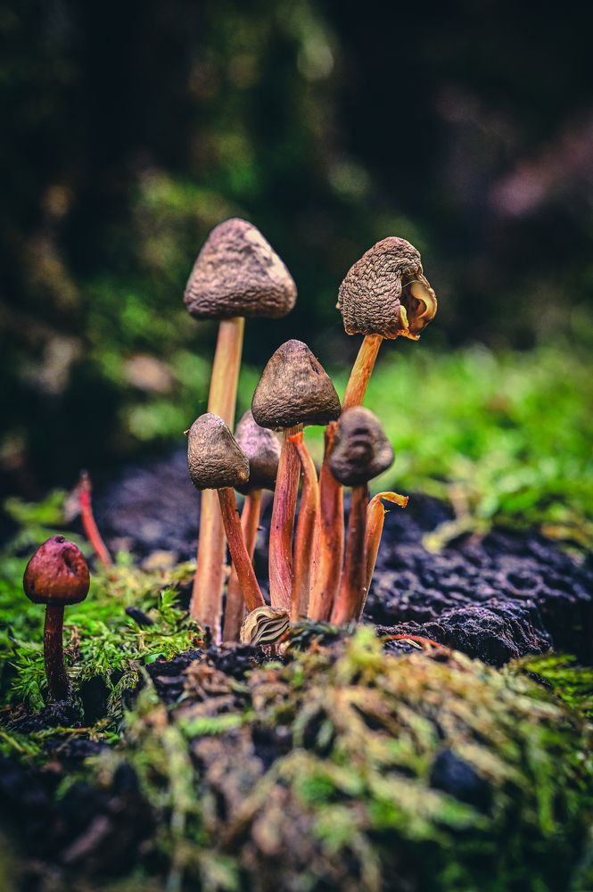 Photograph by Алексей