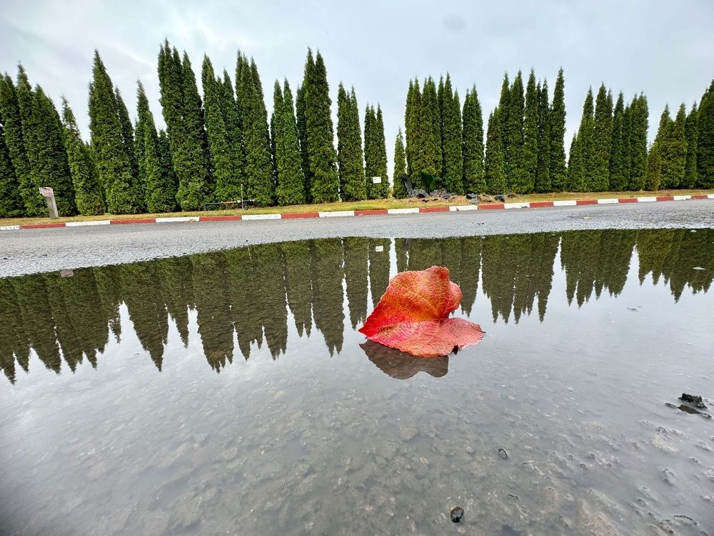 Фотография автора Виктория Зеленкова