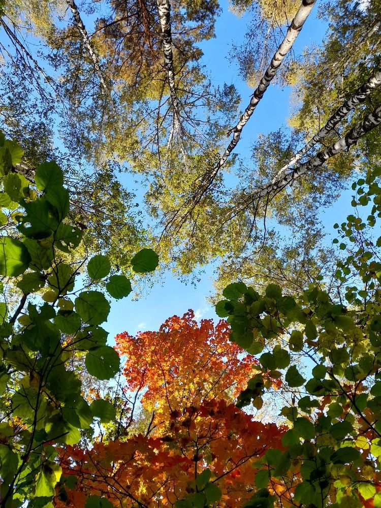 Photograph by Катерина Солдатова