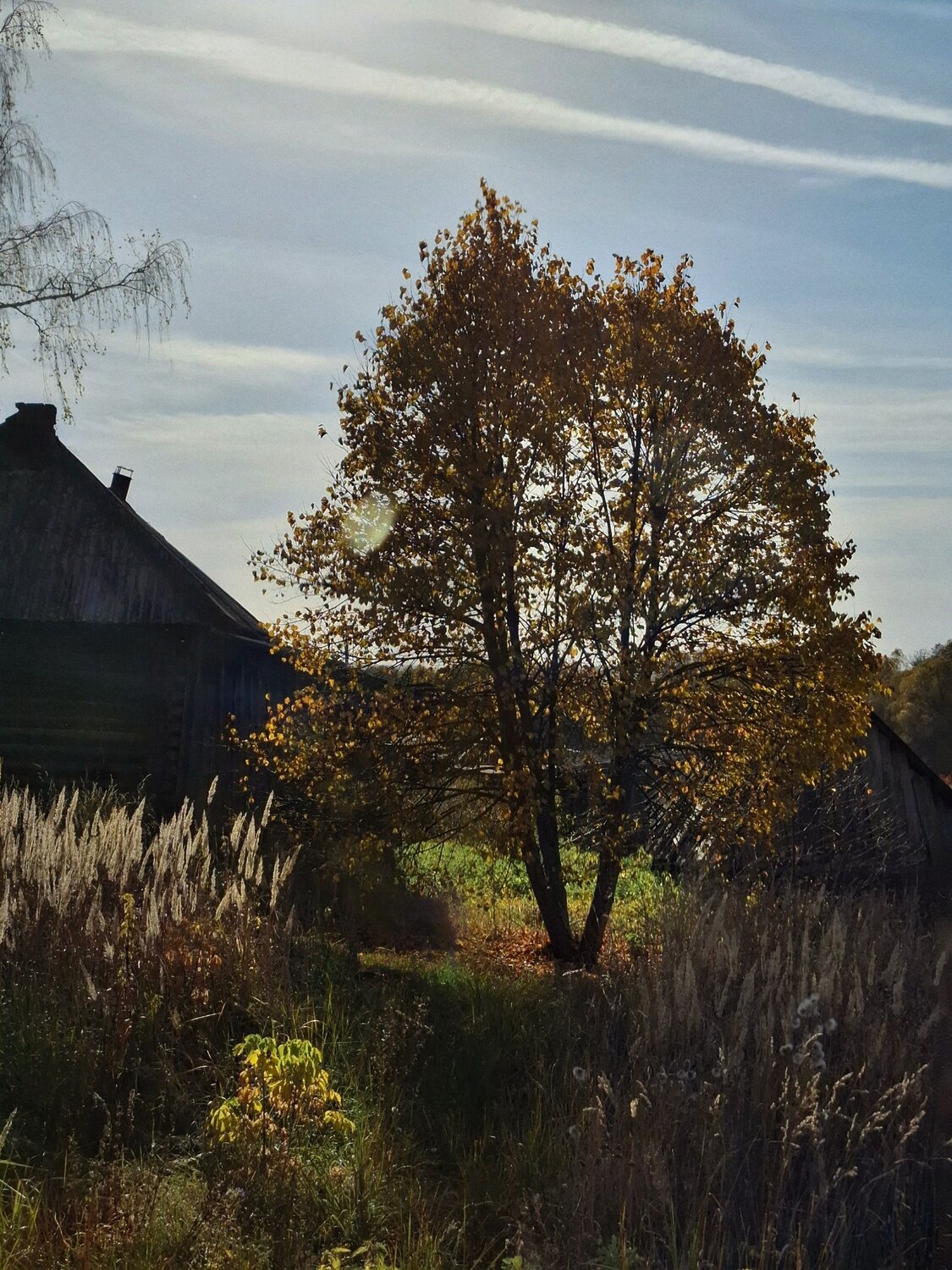 Photo #11169617