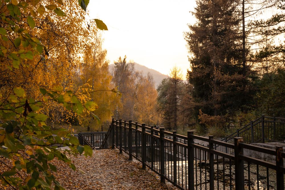 Photograph by Константинова Лина