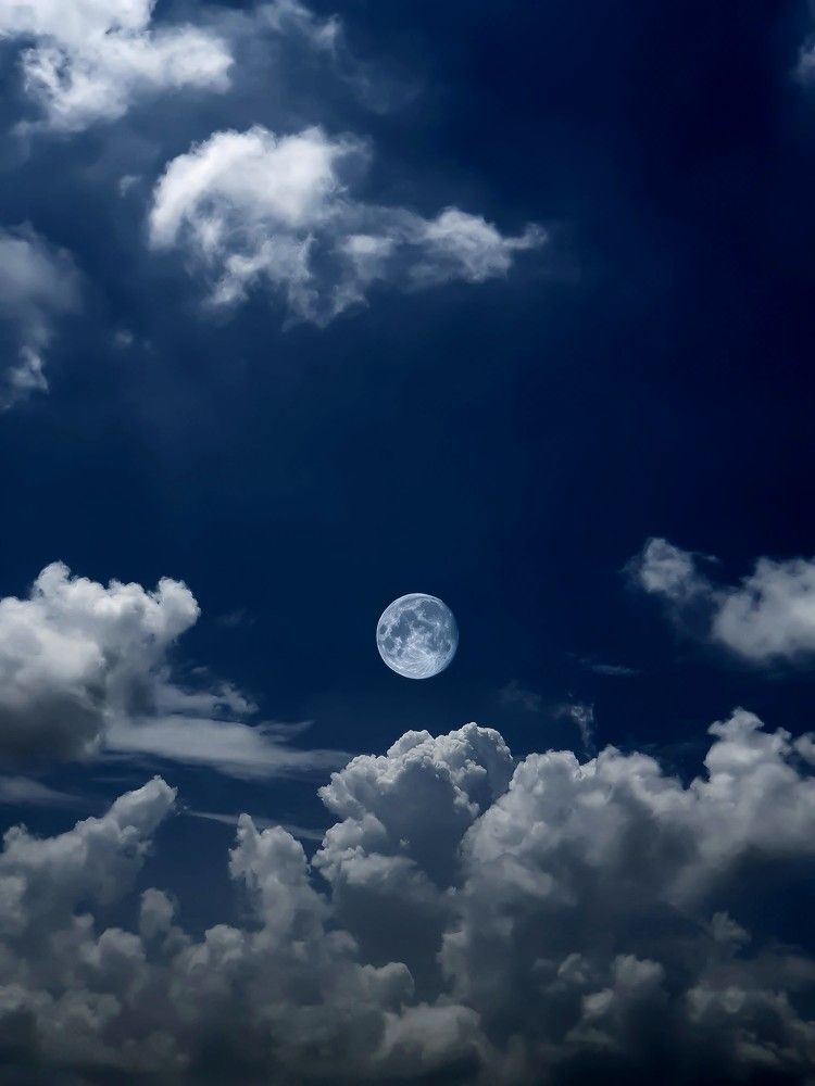 Photograph by Harshil patel