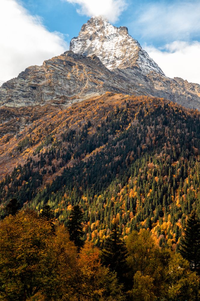 Photograph by EKATERINA WALTER