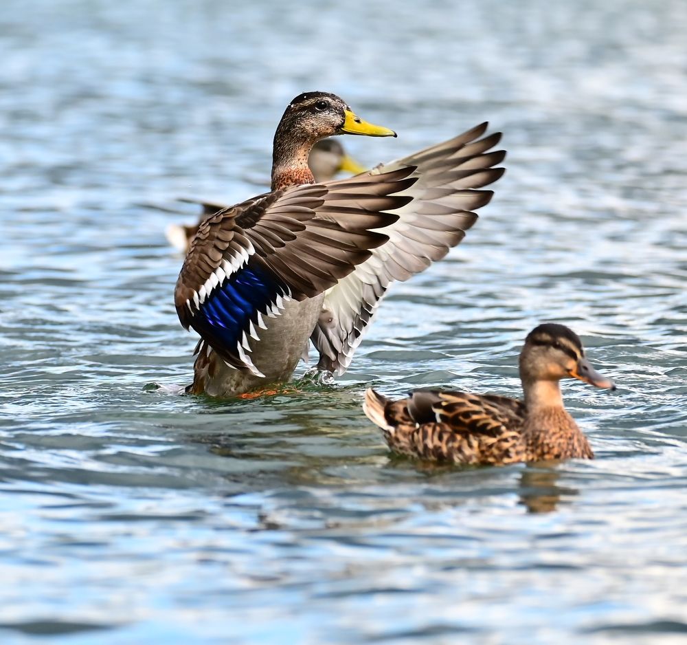 Photograph by Светлана Ивановна