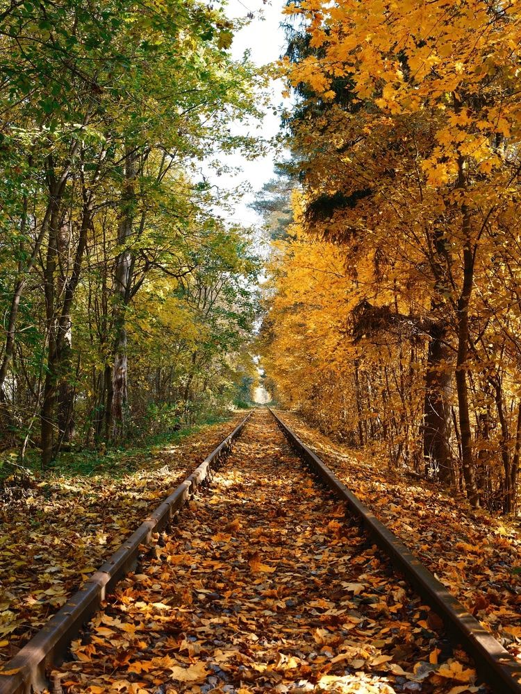 Photograph by Дыбов Дмитрий