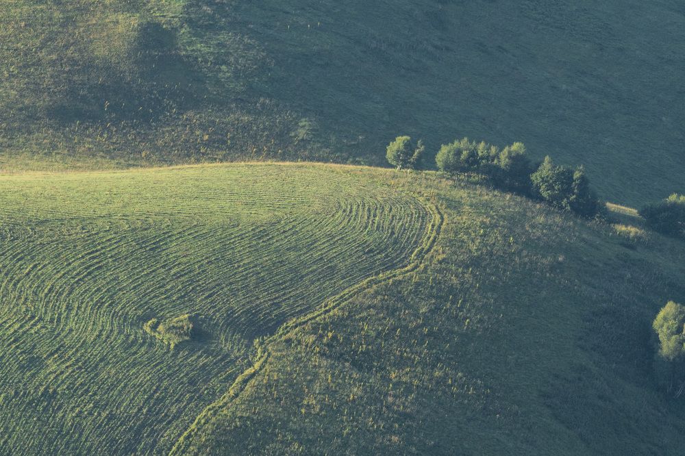 Photograph by Виталий Богачев