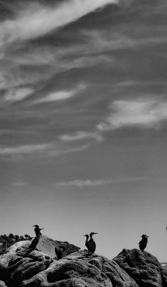 Photograph by Samir Golchha