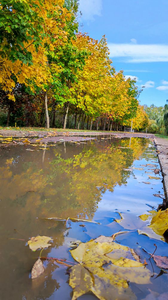 Photograph by Evgenia Korchagova