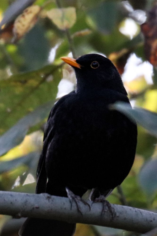 Photograph by Evgenia Korchagova