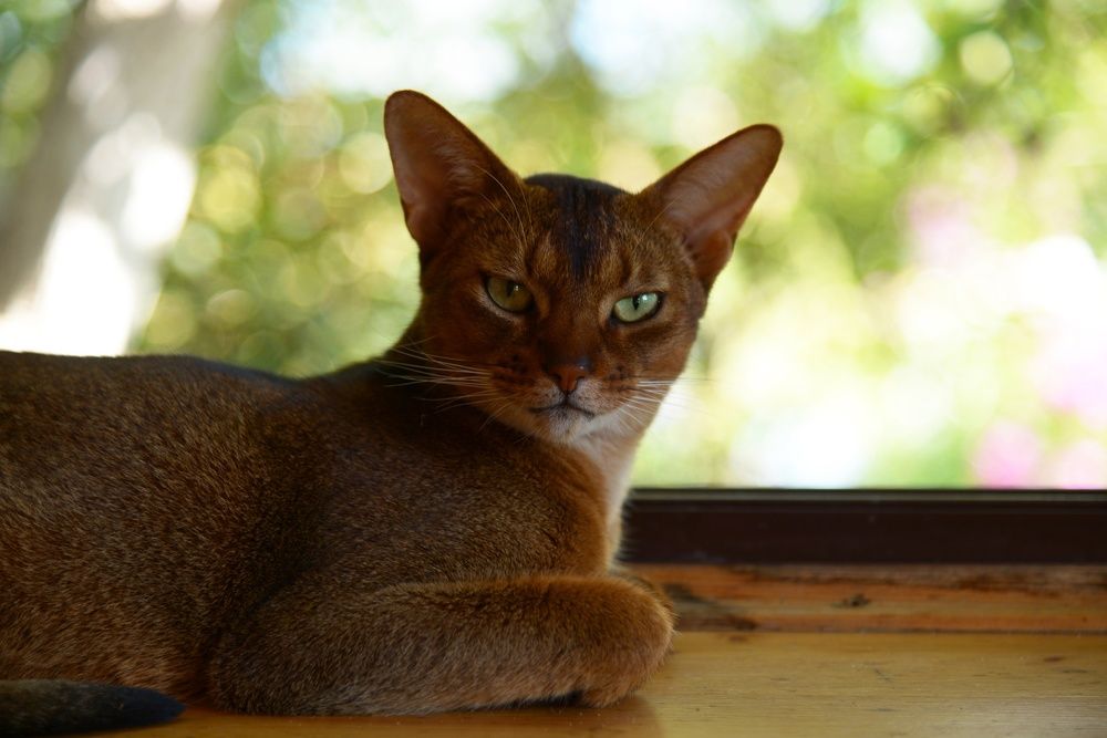 Photograph by Татьяна Кужаниязова