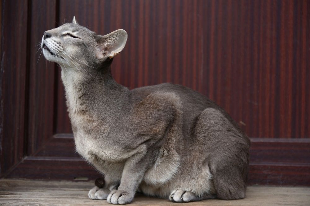 Photograph by Татьяна Кужаниязова