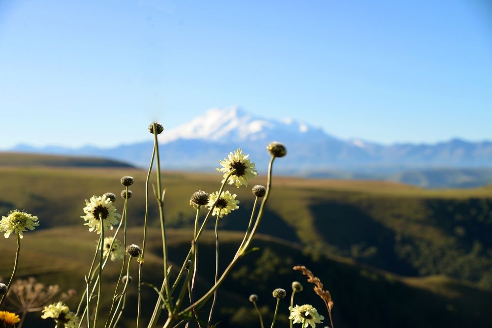 Photograph by Татьяна Кужаниязова