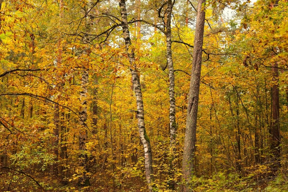 Photograph by Денис Володин