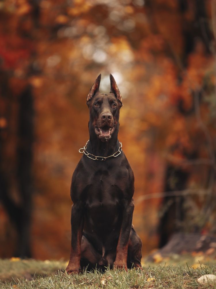 Photograph by Мария Клещенко