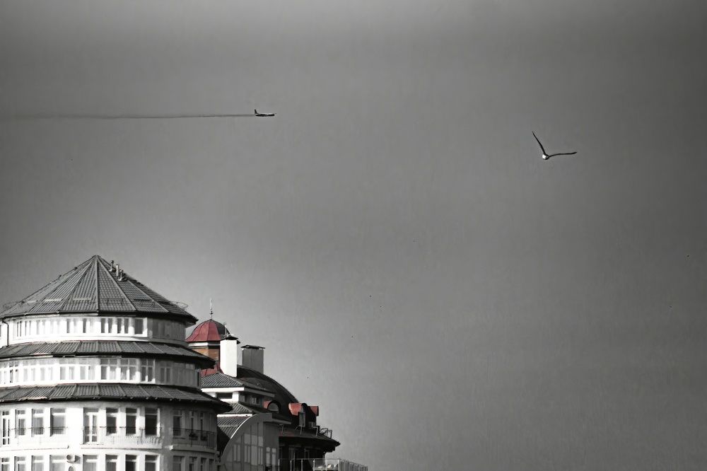 Photograph by Сергей Дубко