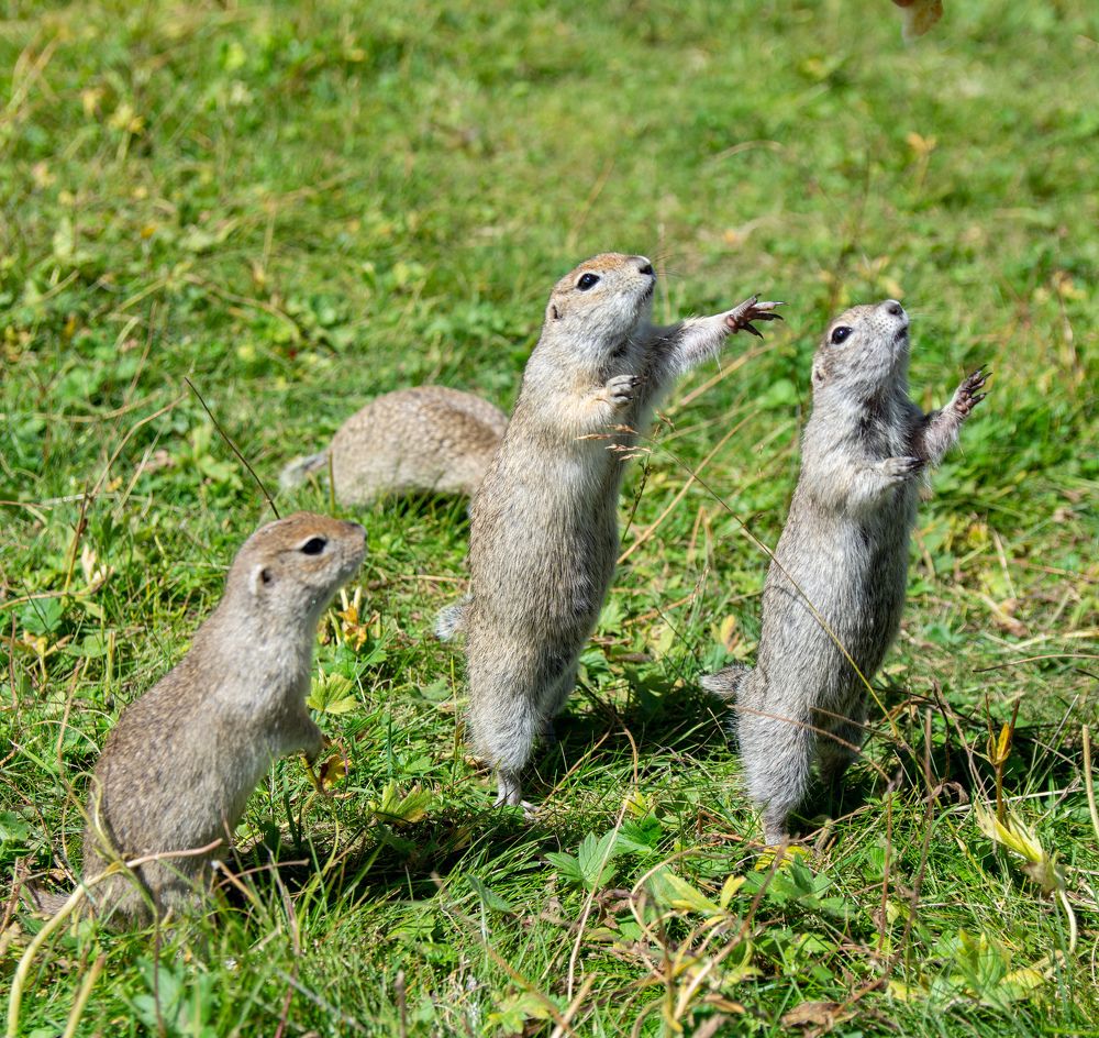 Photograph by Андрей