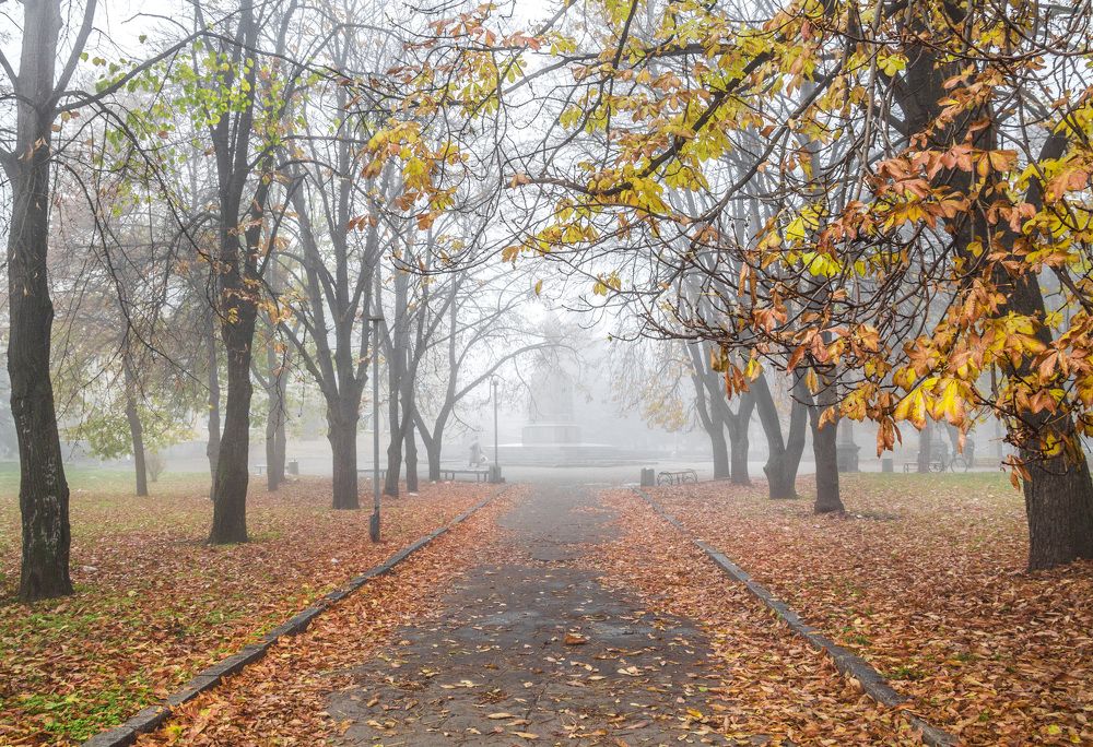 Photograph by Игорь Квочка