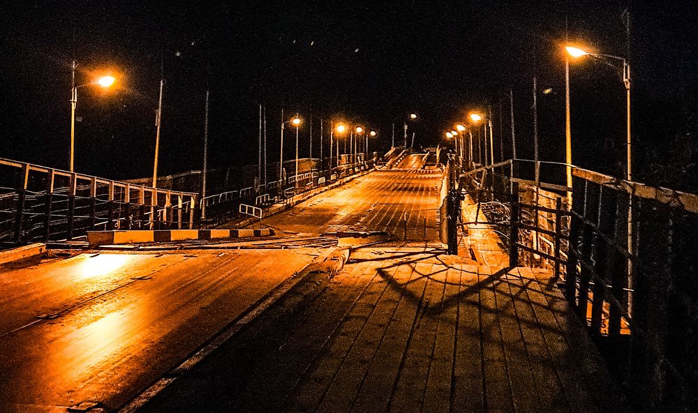 Фотография автора Дарья Новгородцева