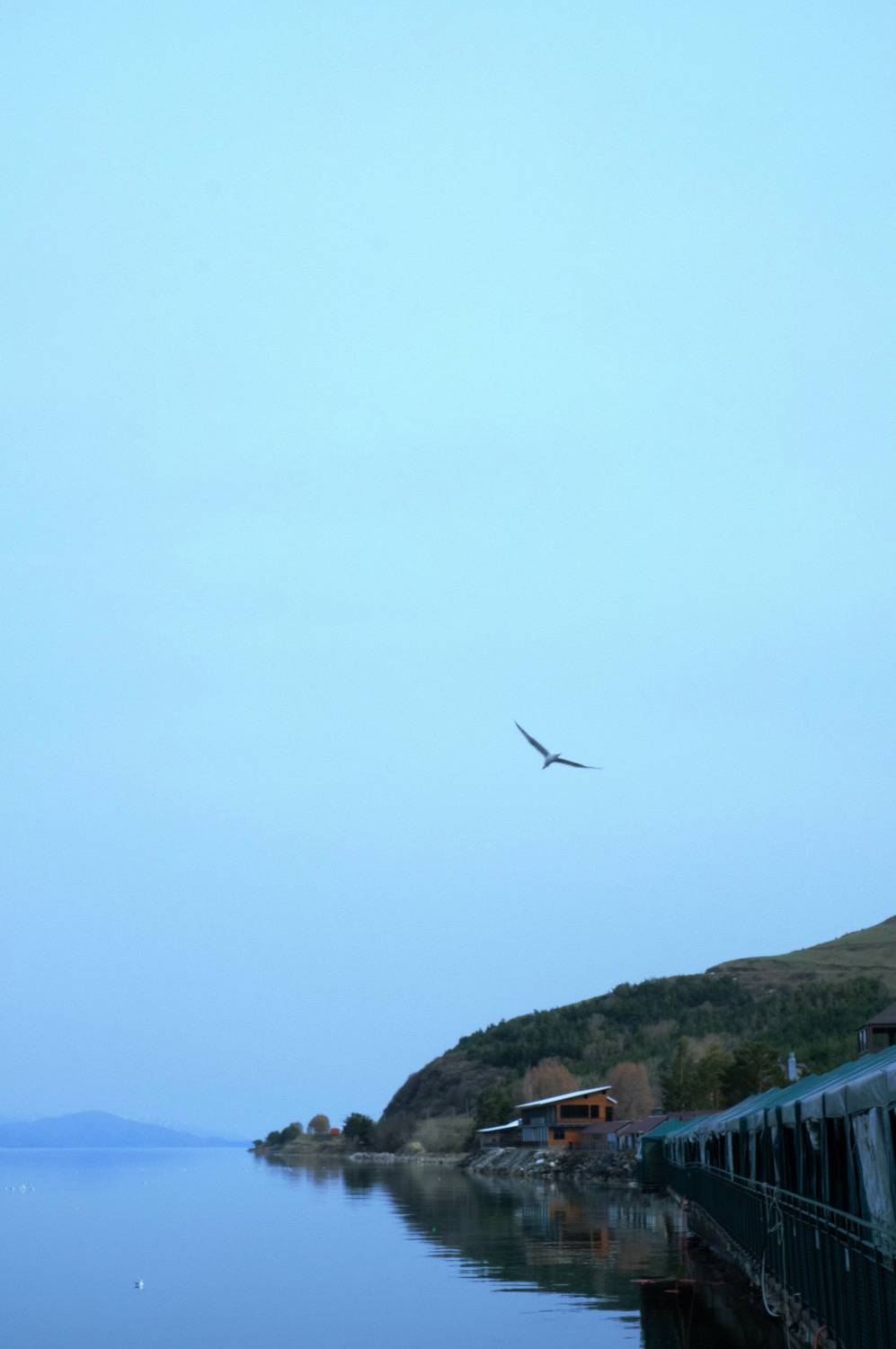 Photo #11169974