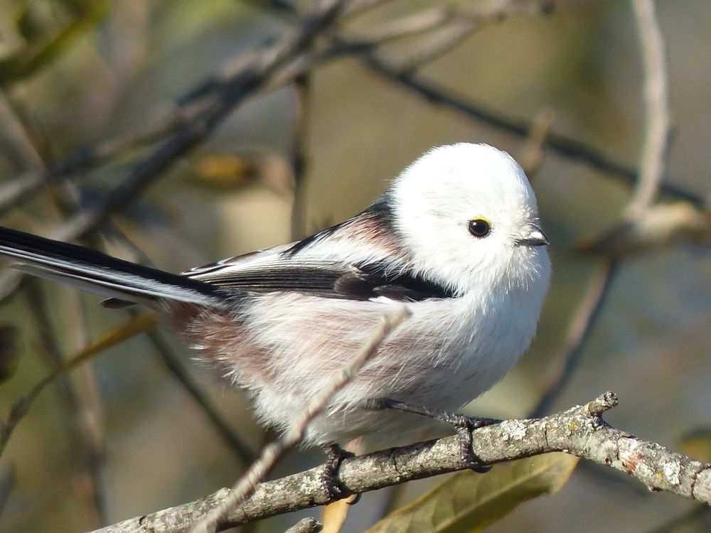 Photograph by Георгий Салюков