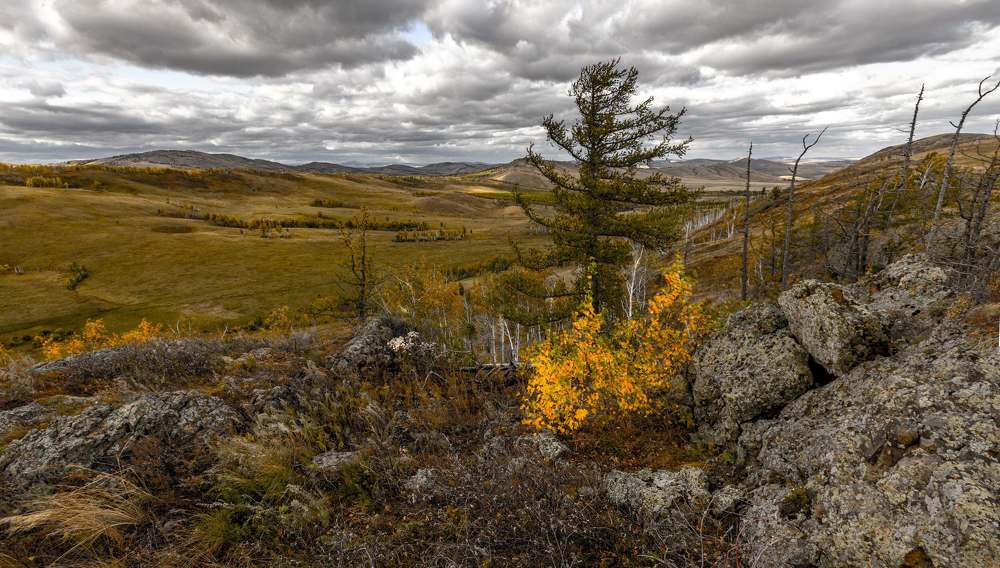 Photograph by Сергей Синягин