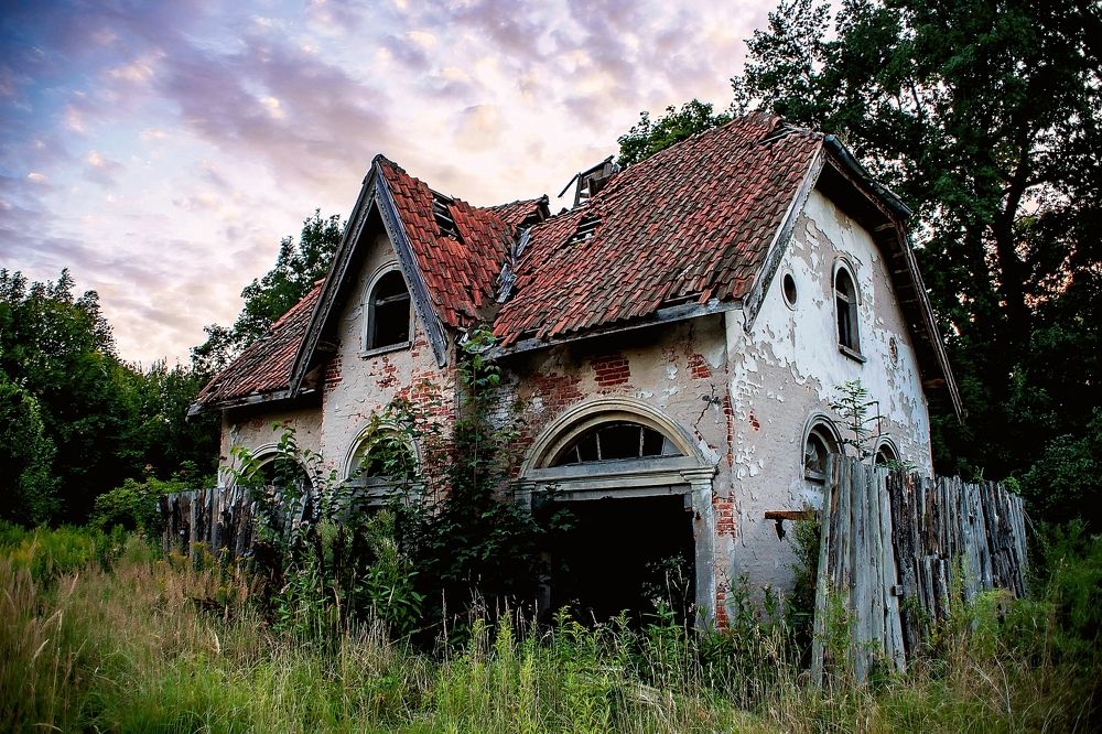 Photograph by Сергей Дубко