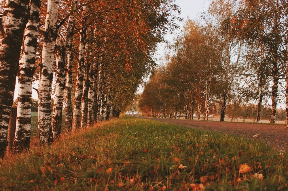 Photograph by Liudmila Pilets