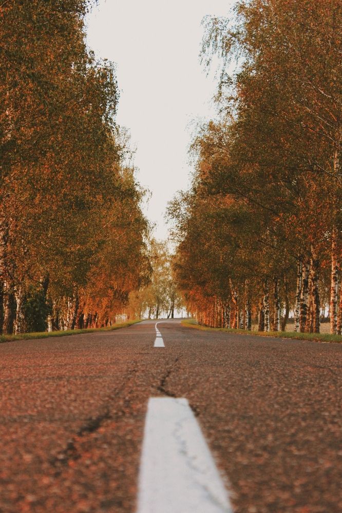 Photograph by Liudmila Pilets
