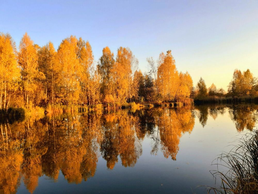 Золото осени