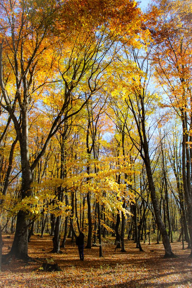 Photograph by Инна Майорова