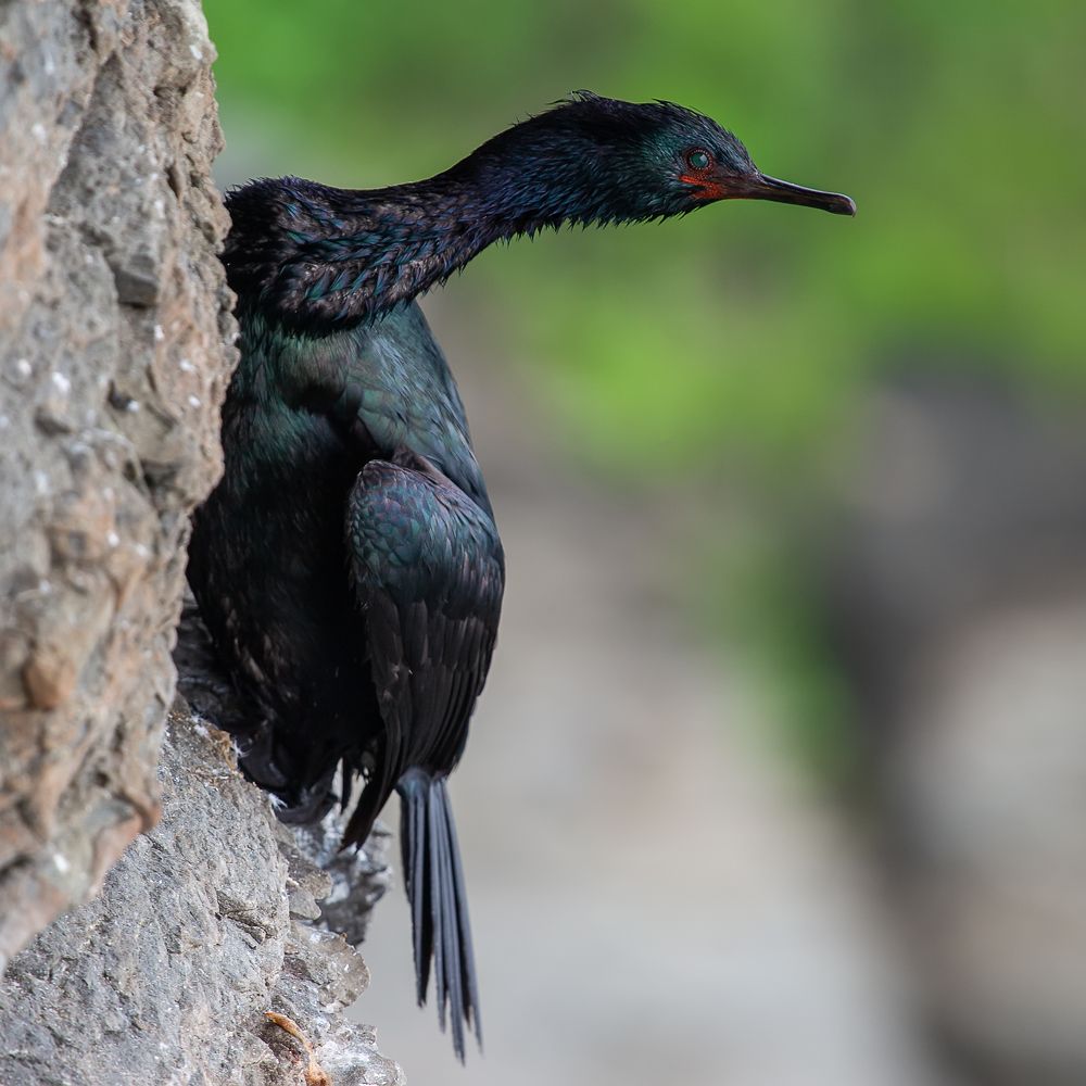 Photograph by Нина Хорева