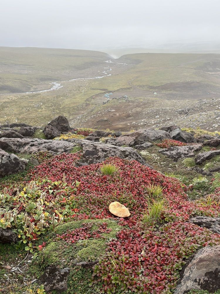 Photograph by Екатерина Курская