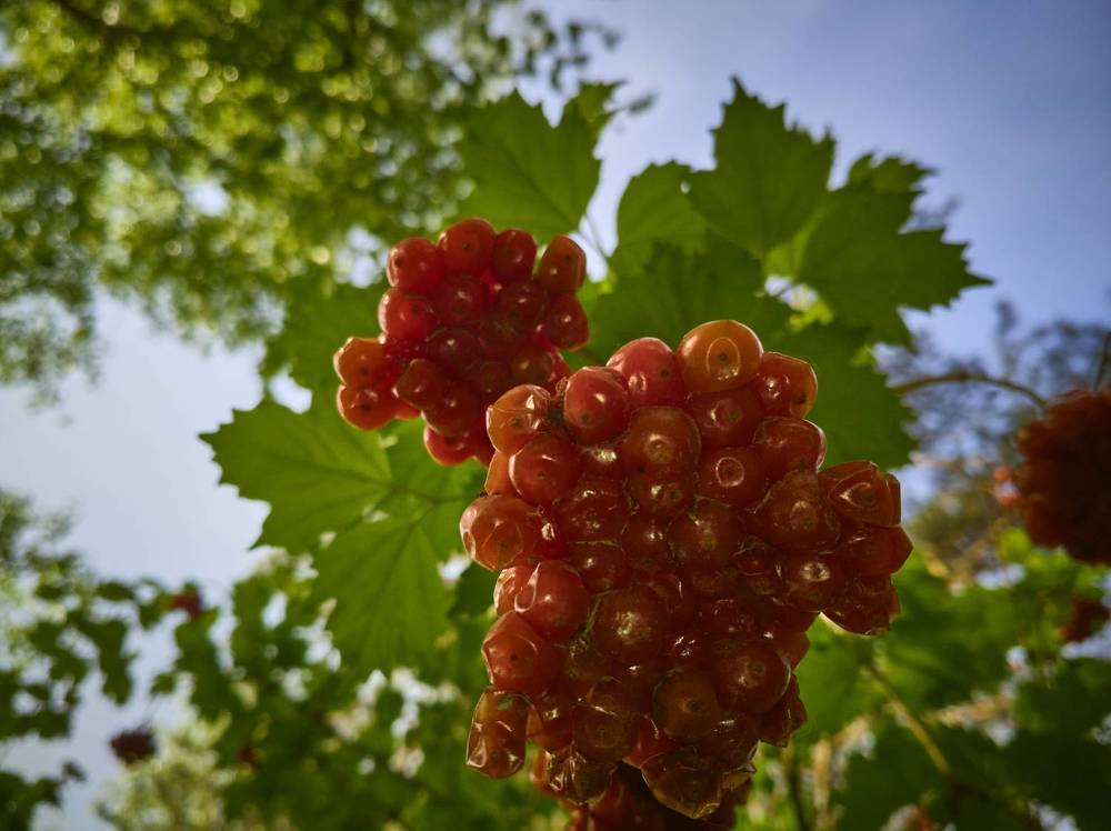 Фотография автора Дмитрий Мелинчук