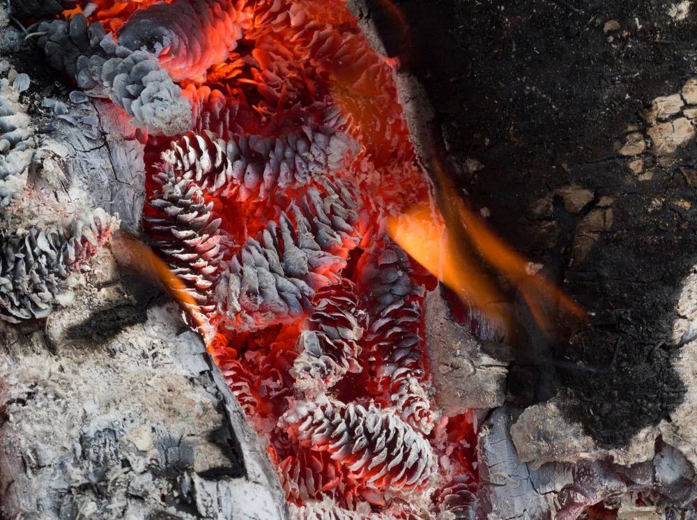 Фотография автора Дмитрий Мелинчук