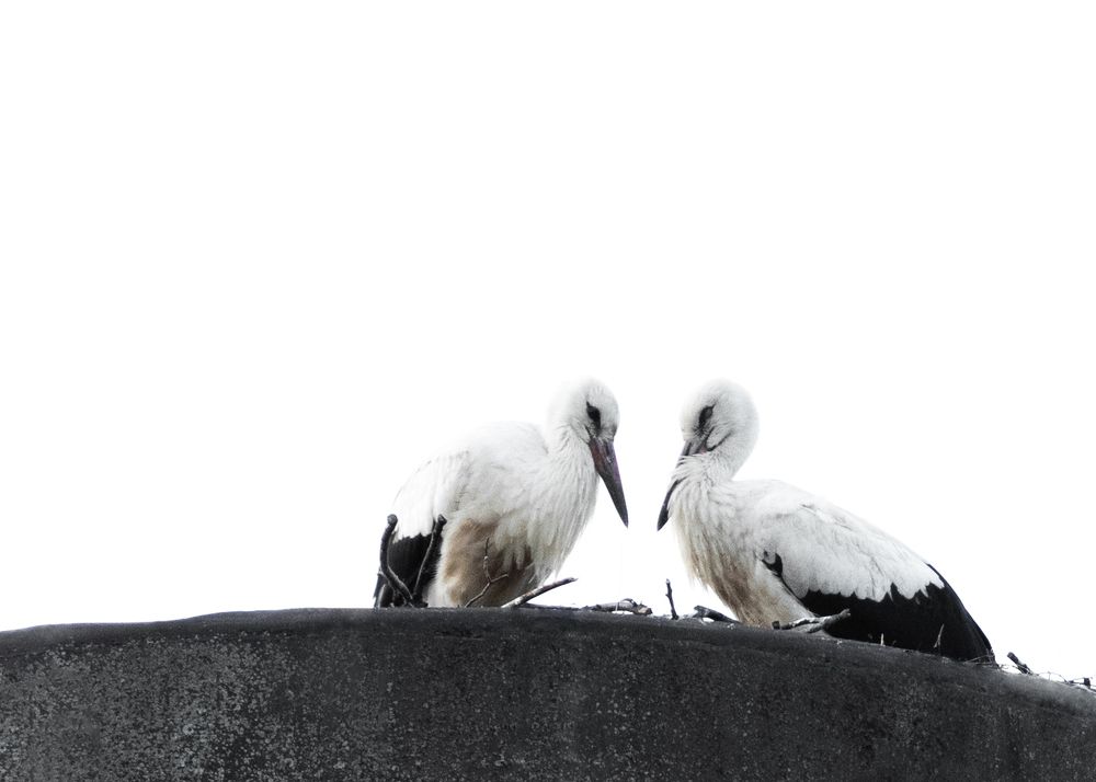 Photograph by Victor Stepanov