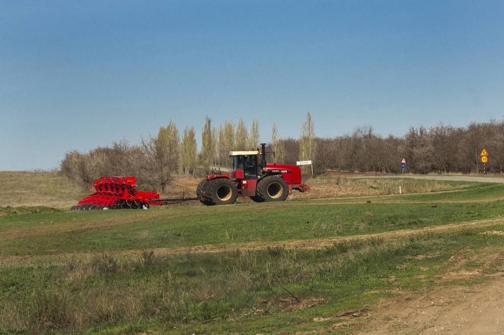 Photograph by Ирина Шибитова