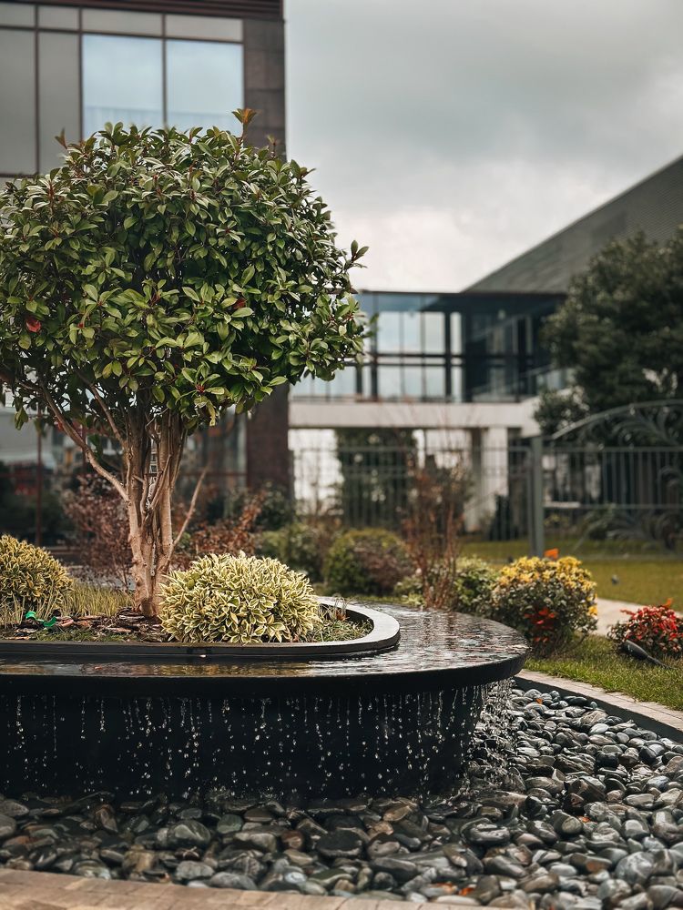 Photograph by Кет