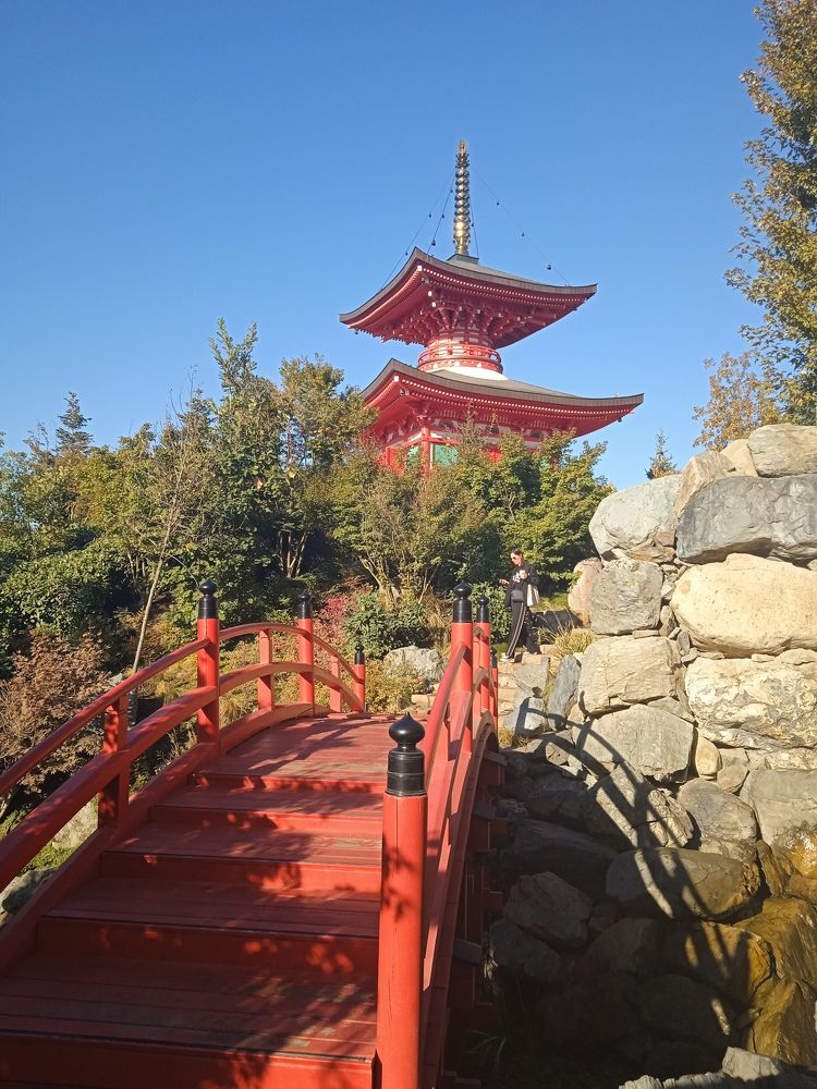 Photograph by Наталья Покрепина