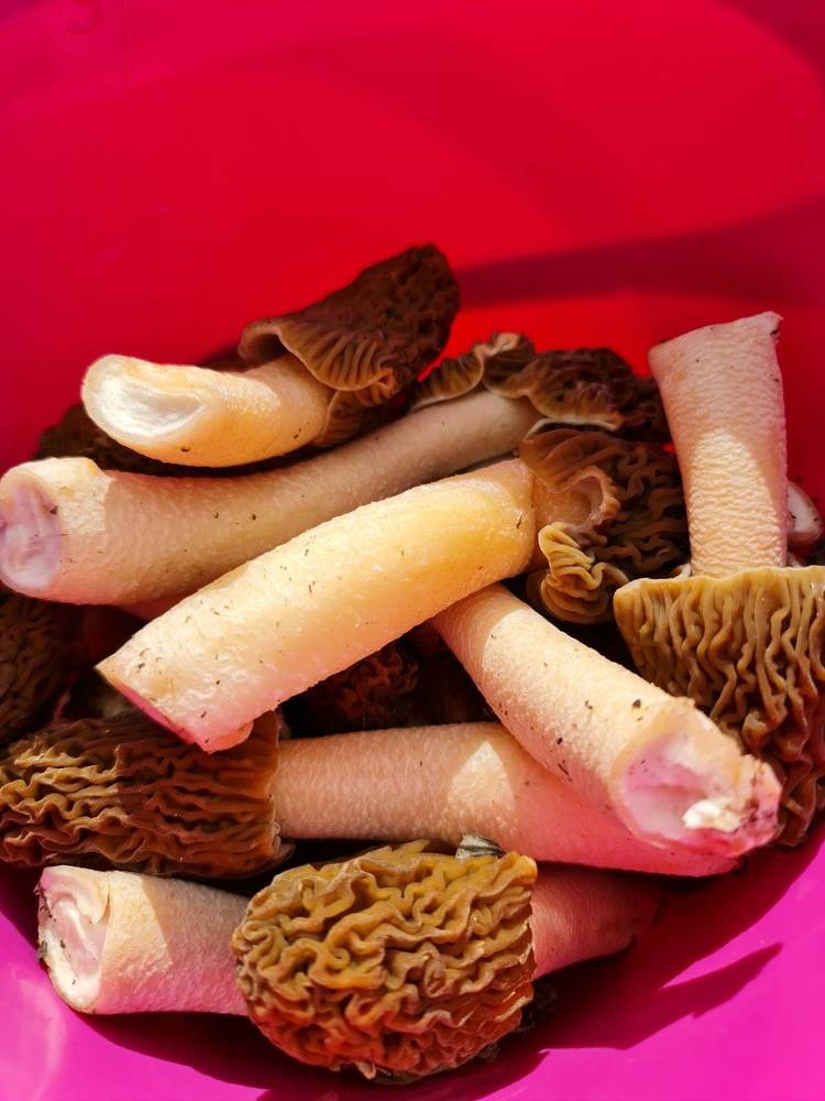 Photograph by Вадим Богатиков