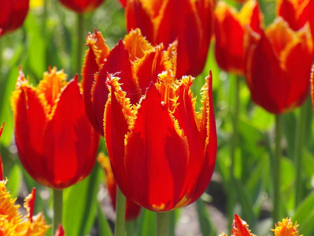 Photograph by Вадим Богатиков