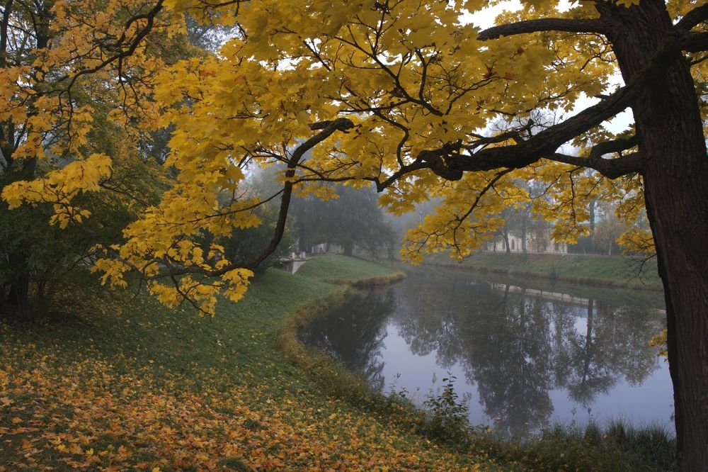 Photograph by Ольга Денисова