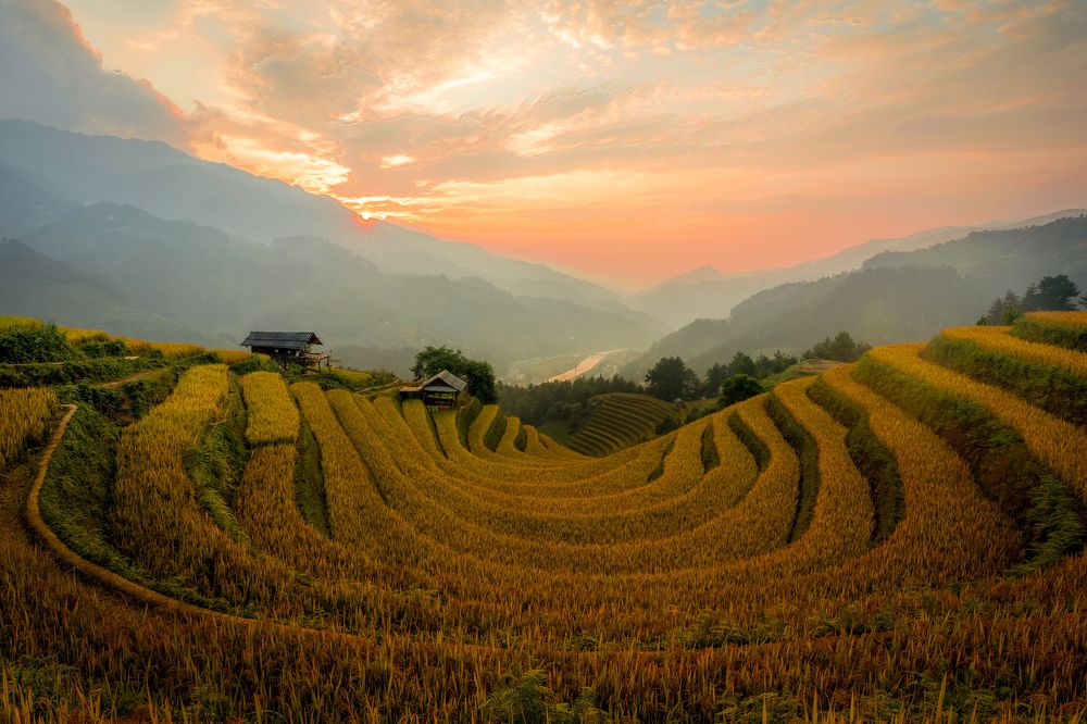 Photograph by Nguyen Thi Chieu Xuan