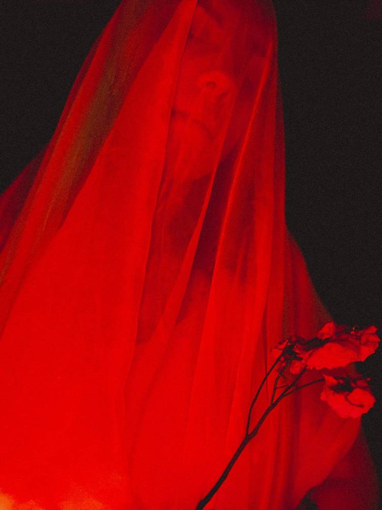 Photograph by Дарья Эглите